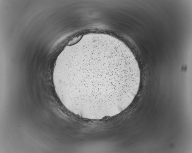 X0000112061112200909151019