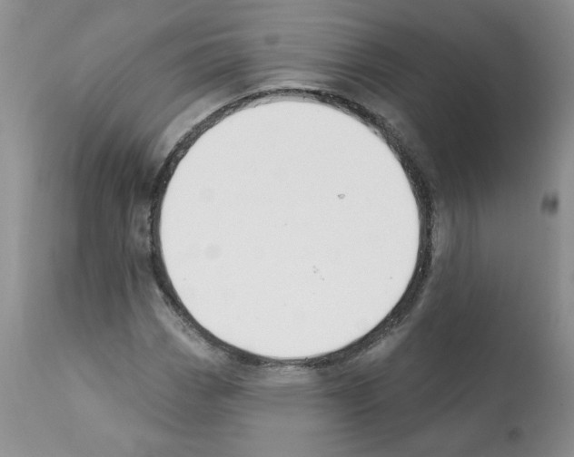 X0000112061113200909151019
