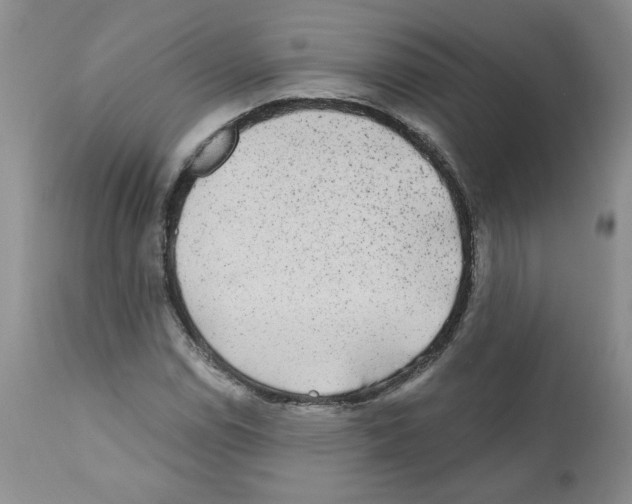 X0000112061114200909151019