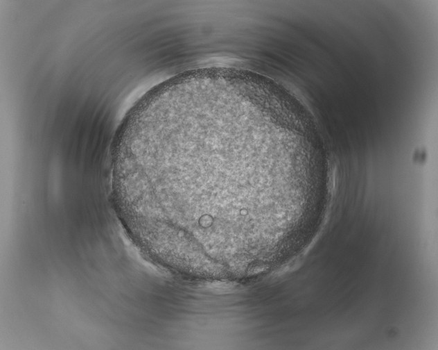 X0000112061117200909151019