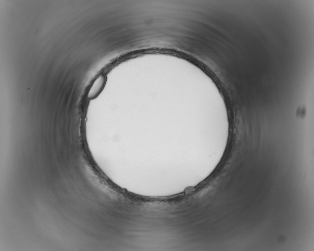 X0000112061118200909151019