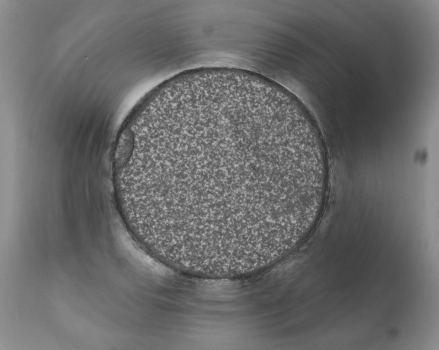 X0000112061120200909151019