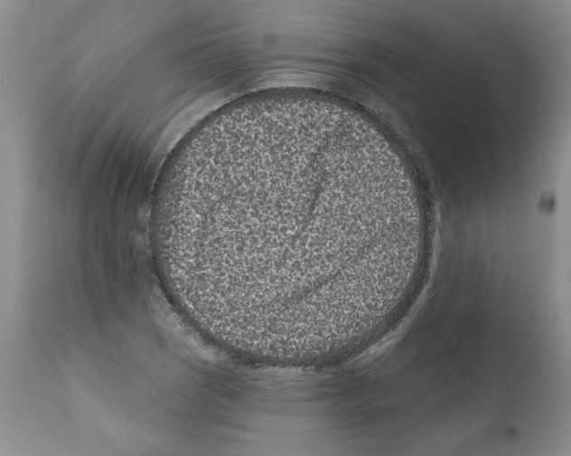 X0000112061121200909151019