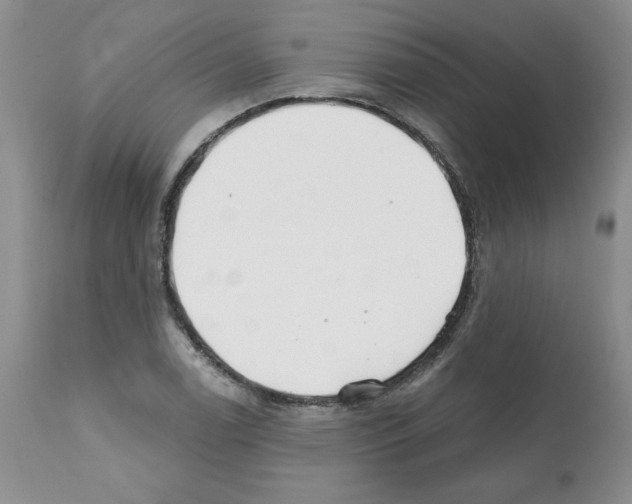 X0000112061122200909151019