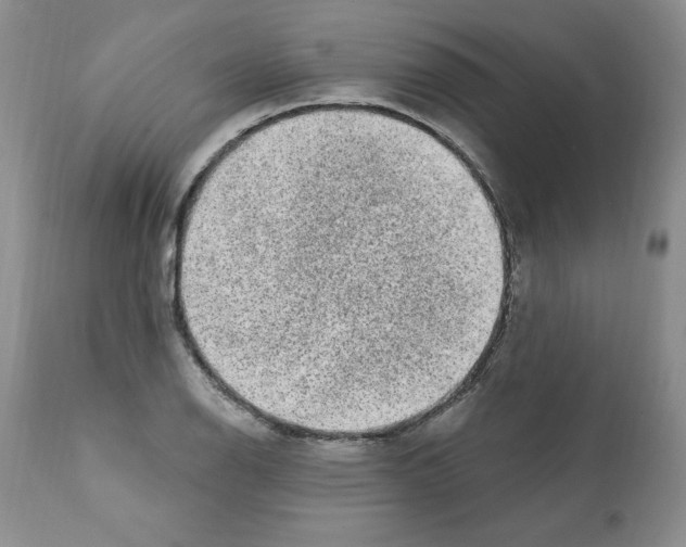 X0000112061126200909151019