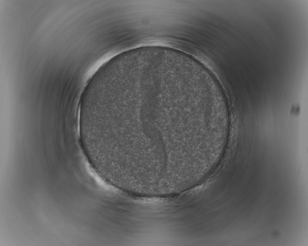 X0000112061127200909151019