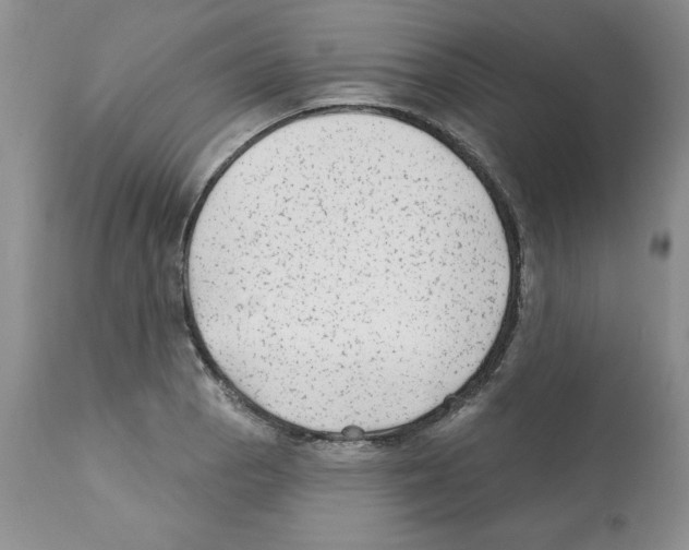 X0000112061129200909151019