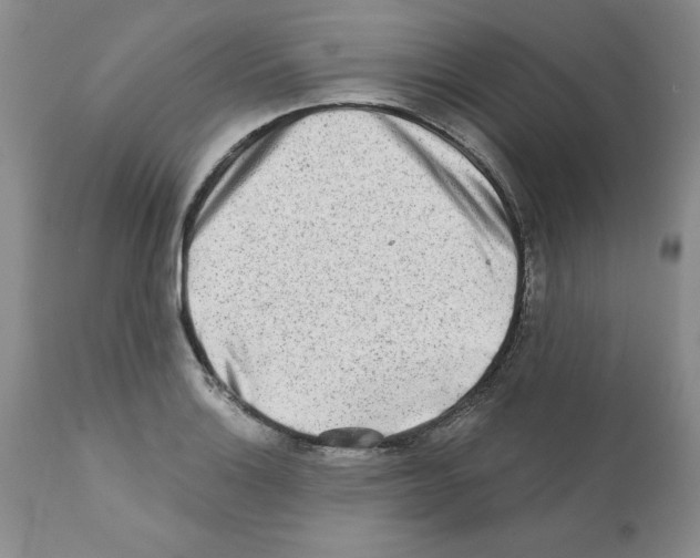 X0000112061132200909151019