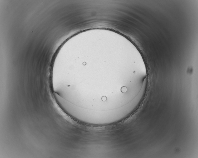 X0000112061134200909151020