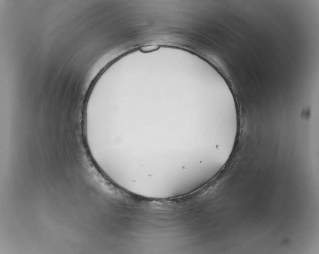 X0000112061138200909151020