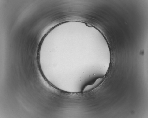 X0000112061139200909151020