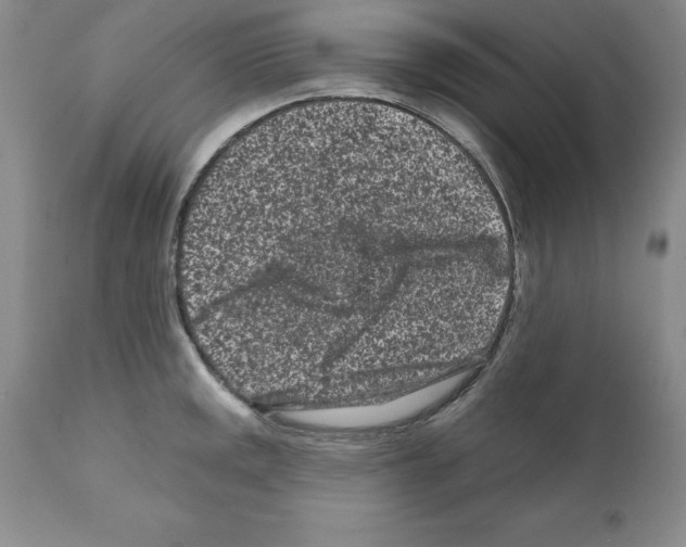 X0000112061141200909151020