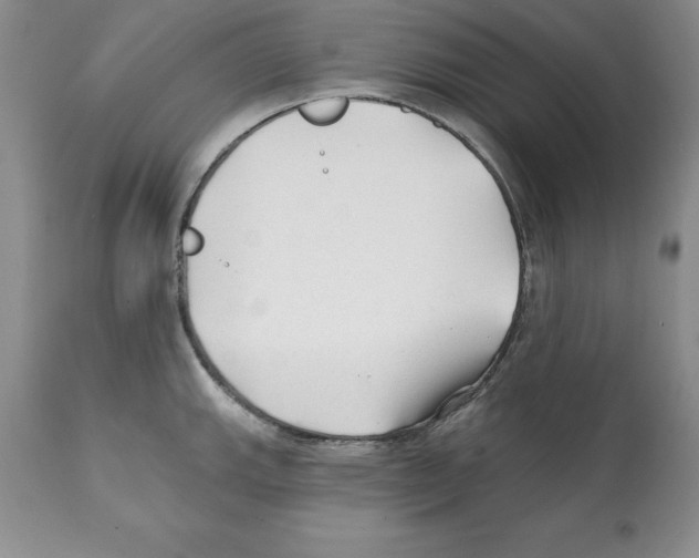 X0000112061143200909151020