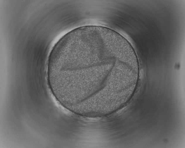 X0000112061144200909151020