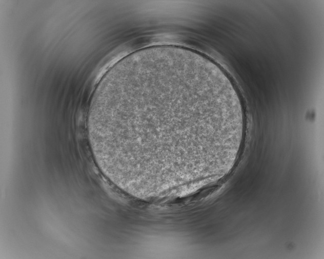 X0000112061145200909151020