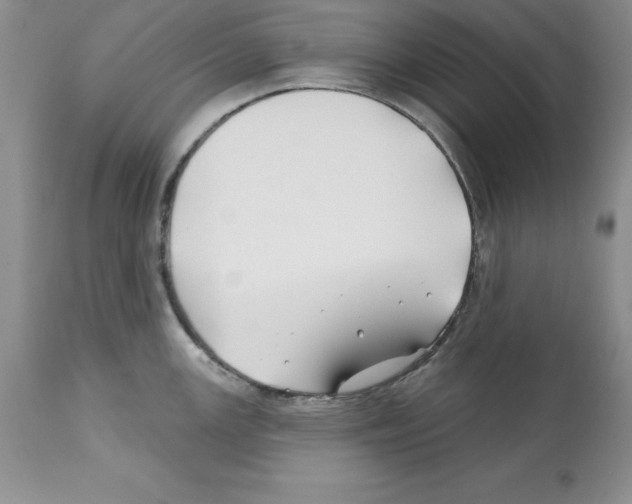 X0000112061147200909151020