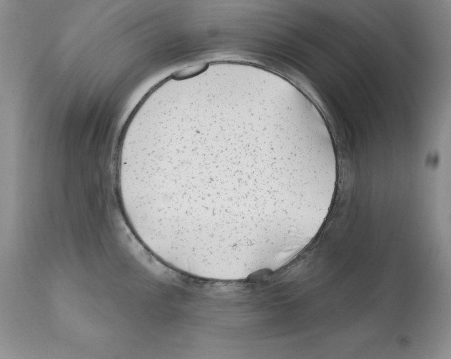 X0000112061148200909151020