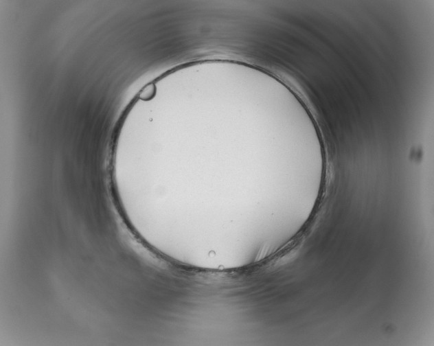 X0000112061149200909151020