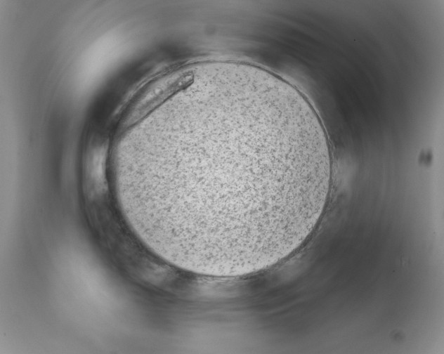 X0000112061150200909151020
