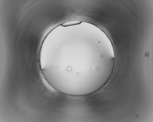 X0000112061152200909151020