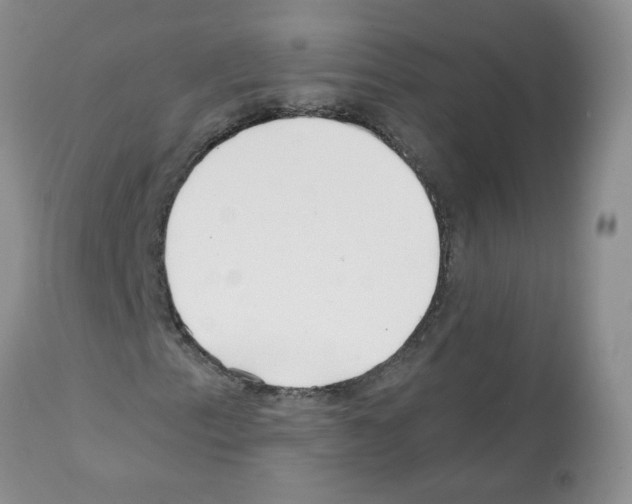 X0000112061153200909151019
