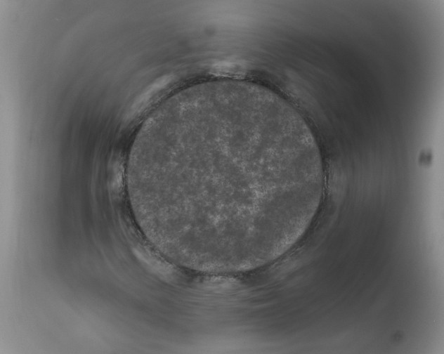 X0000112061154200909151019