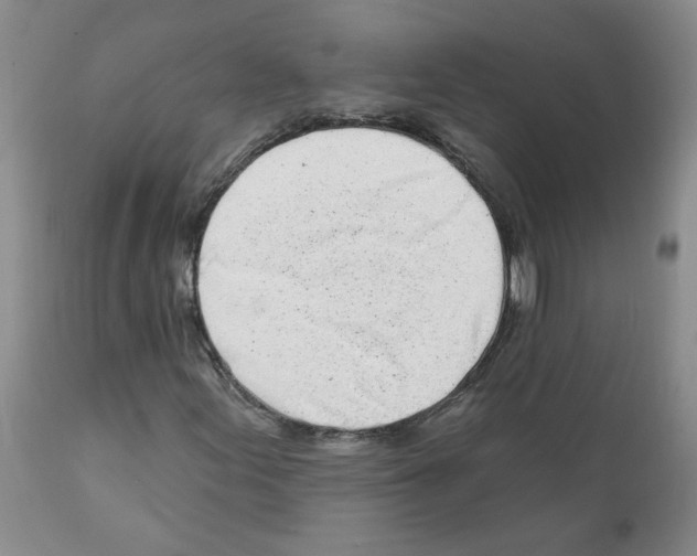 X0000112061155200909151019
