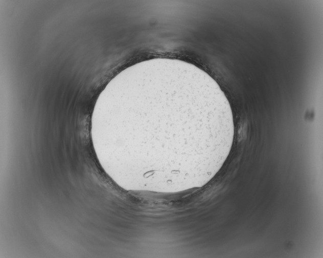 X0000112061156200909151019
