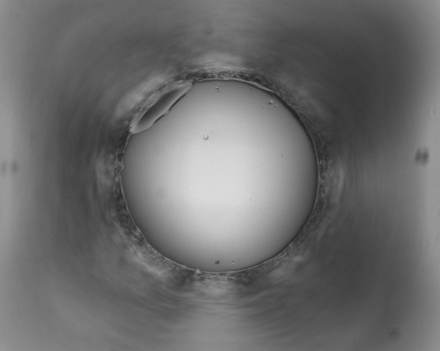 X0000112061157200909151019
