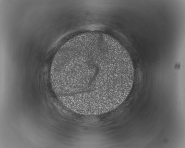 X0000112061158200909151019
