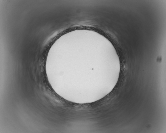 X0000112061159200909151019
