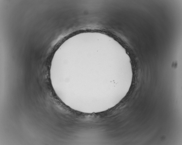 X0000112061160200909151019
