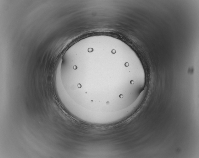 X0000112061161200909151019