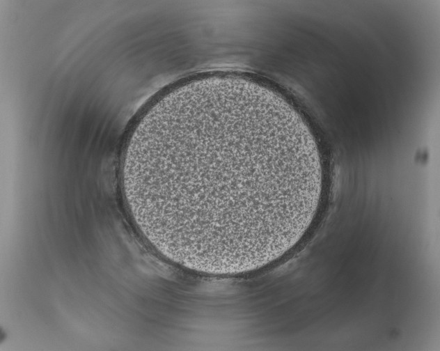 X0000112061162200909151019