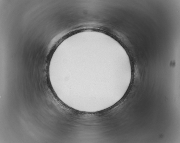 X0000112061164200909151019