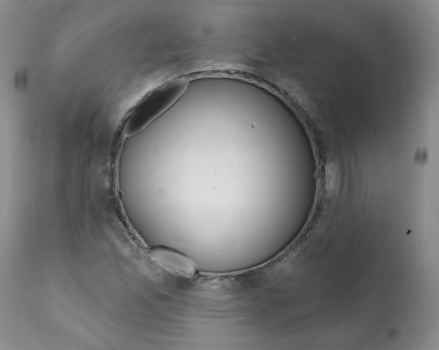 X0000112061165200909151019