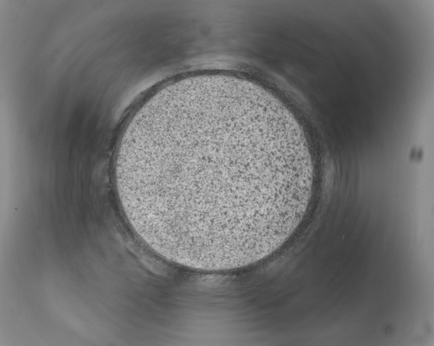 X0000112061166200909151019