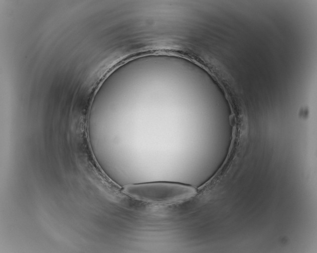 X0000112061169200909151019