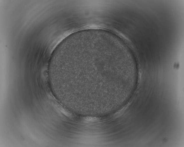 X0000112061170200909151019