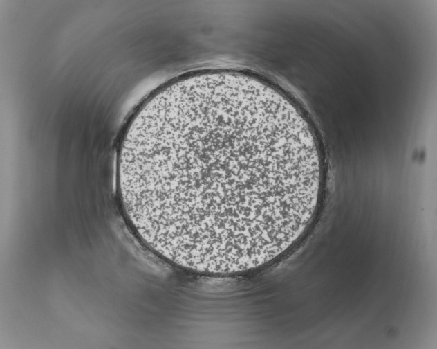 X0000112061171200909151019