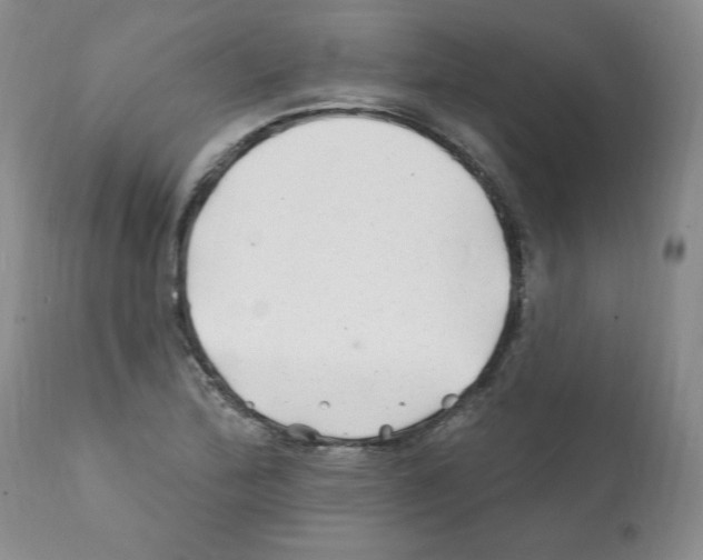 X0000112061172200909151019