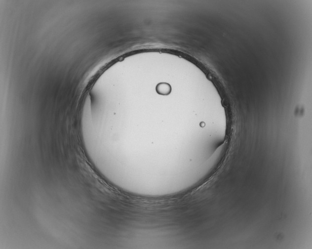 X0000112061173200909151019