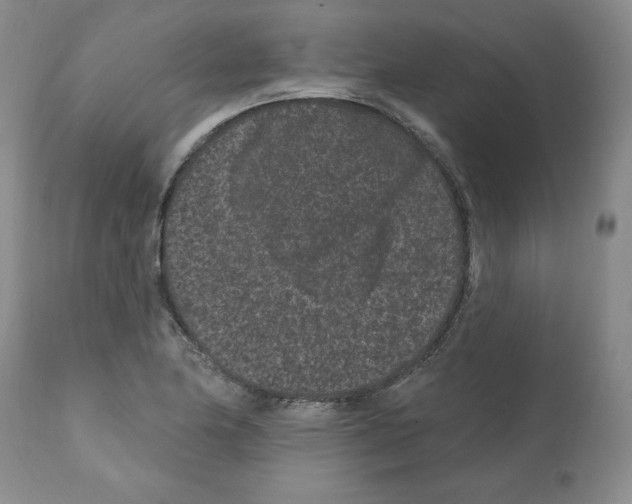 X0000112061174200909151019