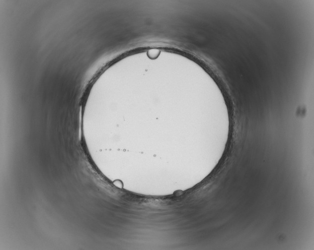 X0000112061175200909151019