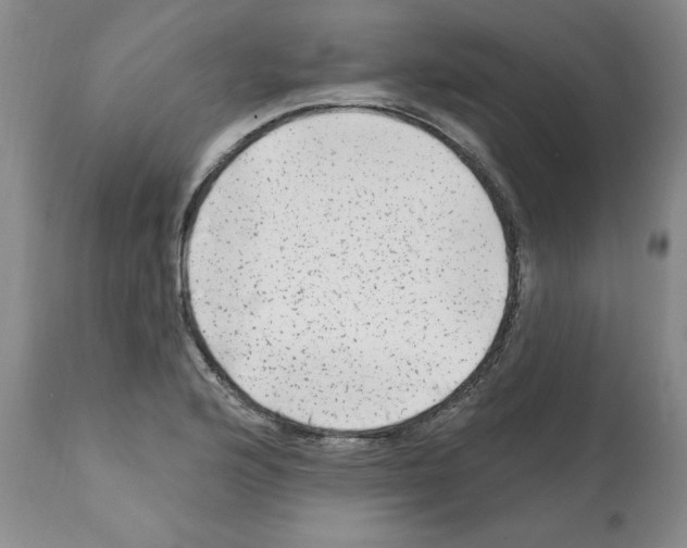X0000112061176200909151019