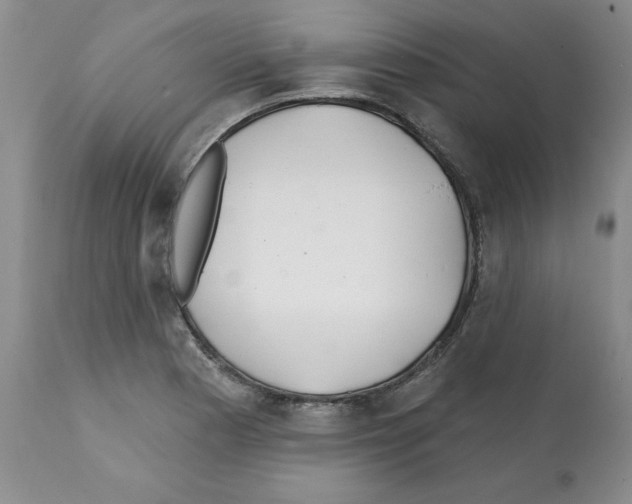 X0000112061177200909151019