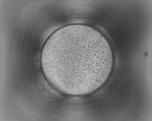 X0000112061178200909151019