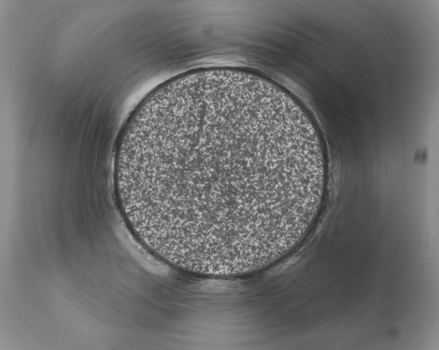 X0000112061179200909151019