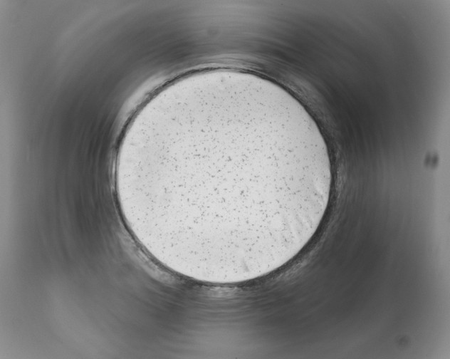 X0000112061180200909151019