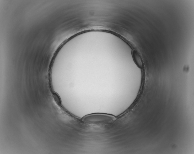 X0000112061181200909151019